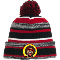 Mr.Heatcam Striped Beanie